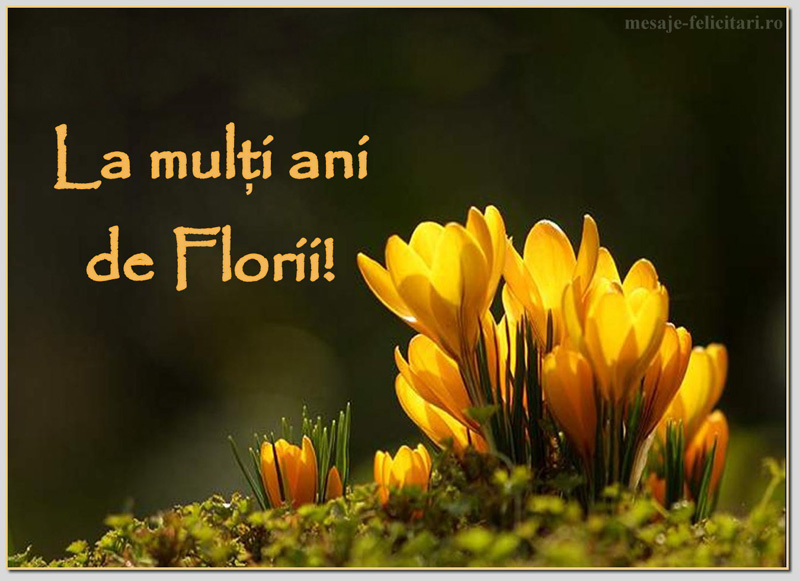Mesaje De Florii 2017 Cele Mai Frumoase Urari Felicitari De Florii