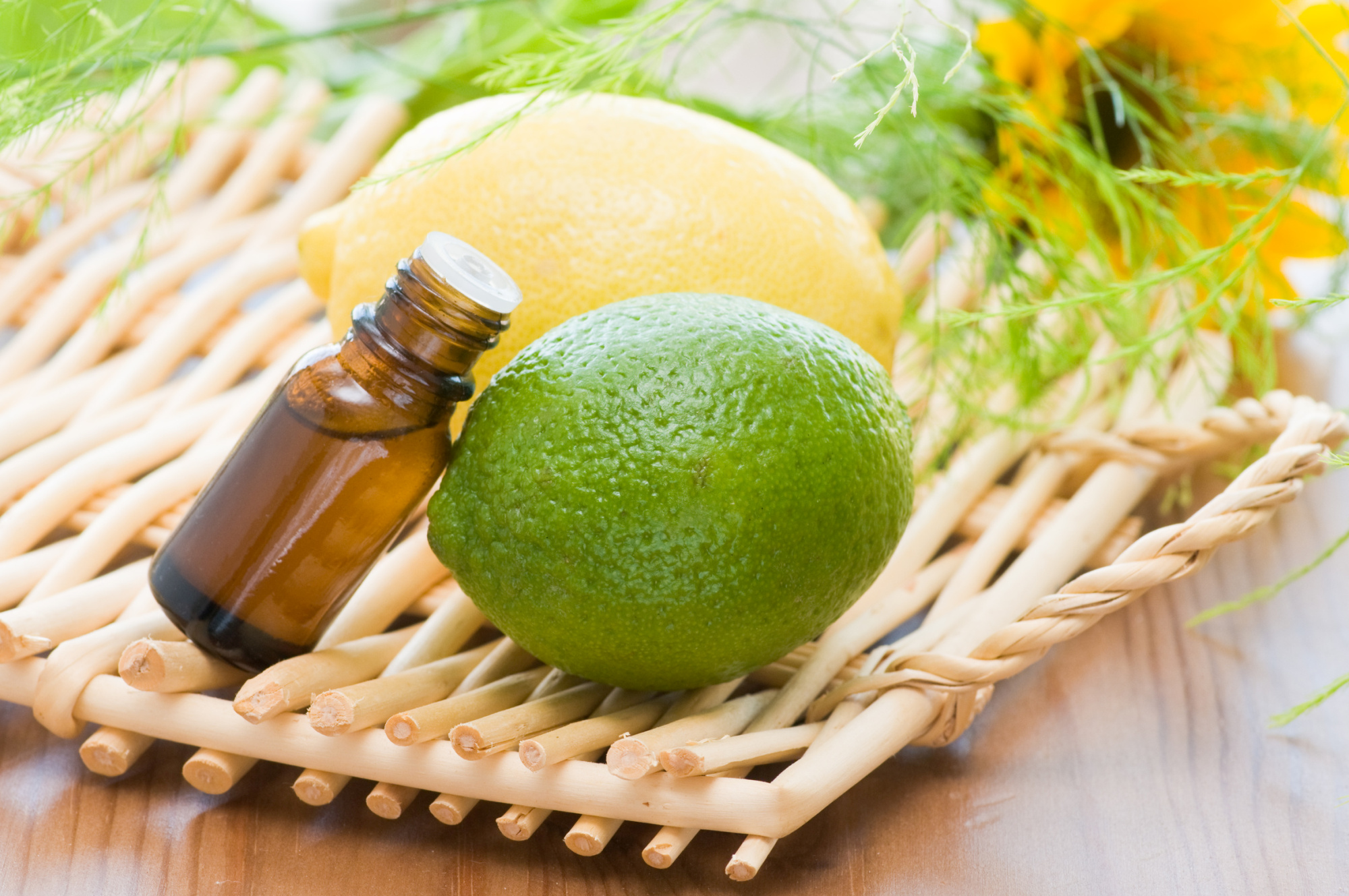 Ce PoÅ£i Trata Cu LÄmaie