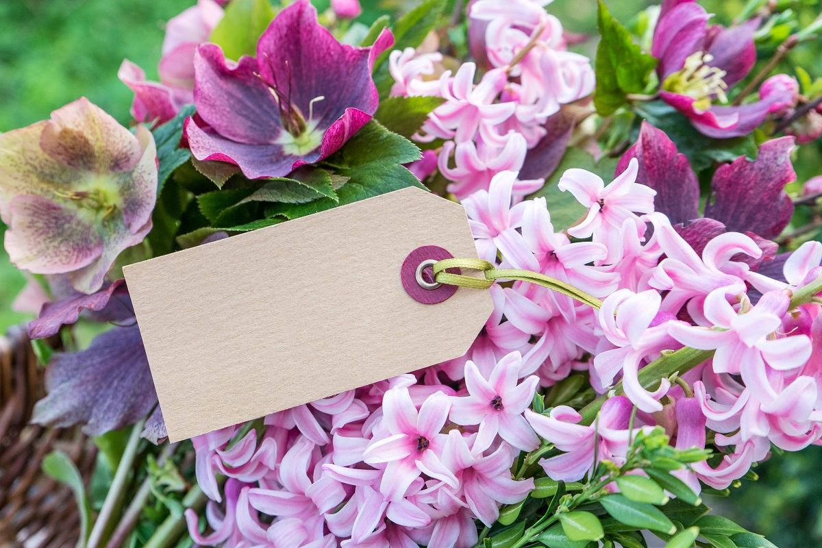 MESAJE DE FLORII. Cele mai amuzante SMS-uri şi urări, numai bune de