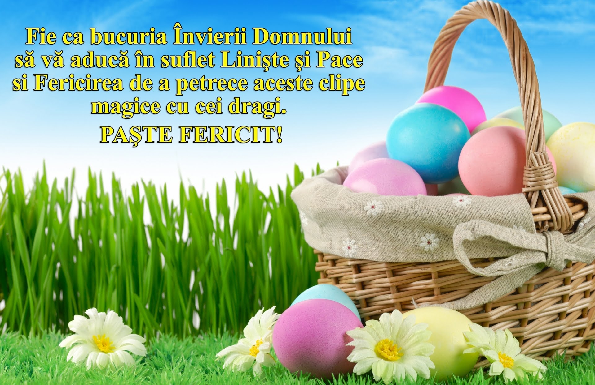panou interpersonală vitamină FELICITARI DE PASTE 2018. Alege să trimiţi cele mai frumoase FELICITARI DE PASTE panou interpersonală vitamină FELICITARI DE PASTE 2018. Alege să trimiţi cele mai frumoase FELICITARI DE PASTE