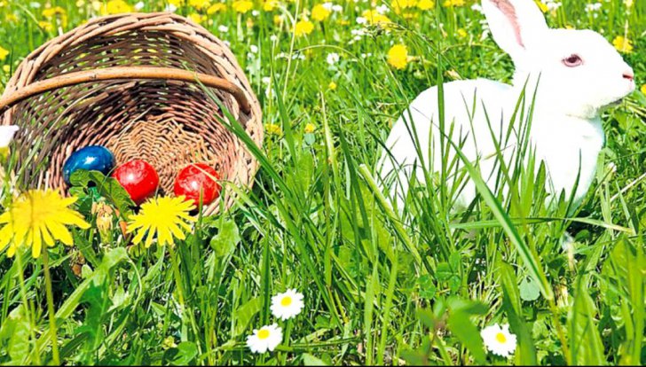 Vremea de Florii și Paște, ANM a schimbat prognoza meteo. De la frig la temperaturi de 20 de grade și din nou ploi