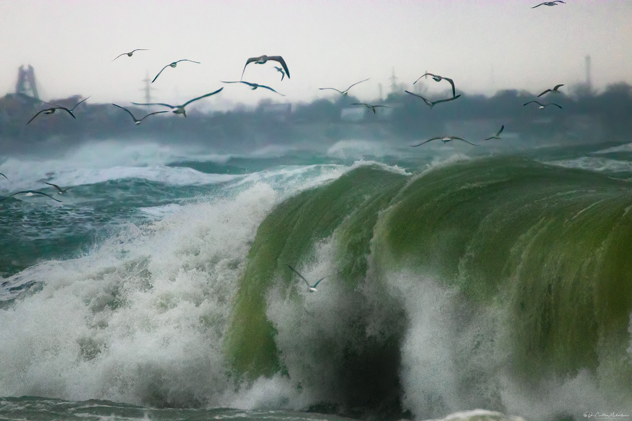 air tank Narabar FOTO-VIDEO Imagini magnifice cu furtuna de la Marea Neagră. Valuri de şase metri lângă Cazinoul din Constanţa air tank Narabar FOTO-VIDEO Imagini magnifice cu furtuna de la Marea Neagră. Valuri de şase metri lângă Cazinoul din Constanţa