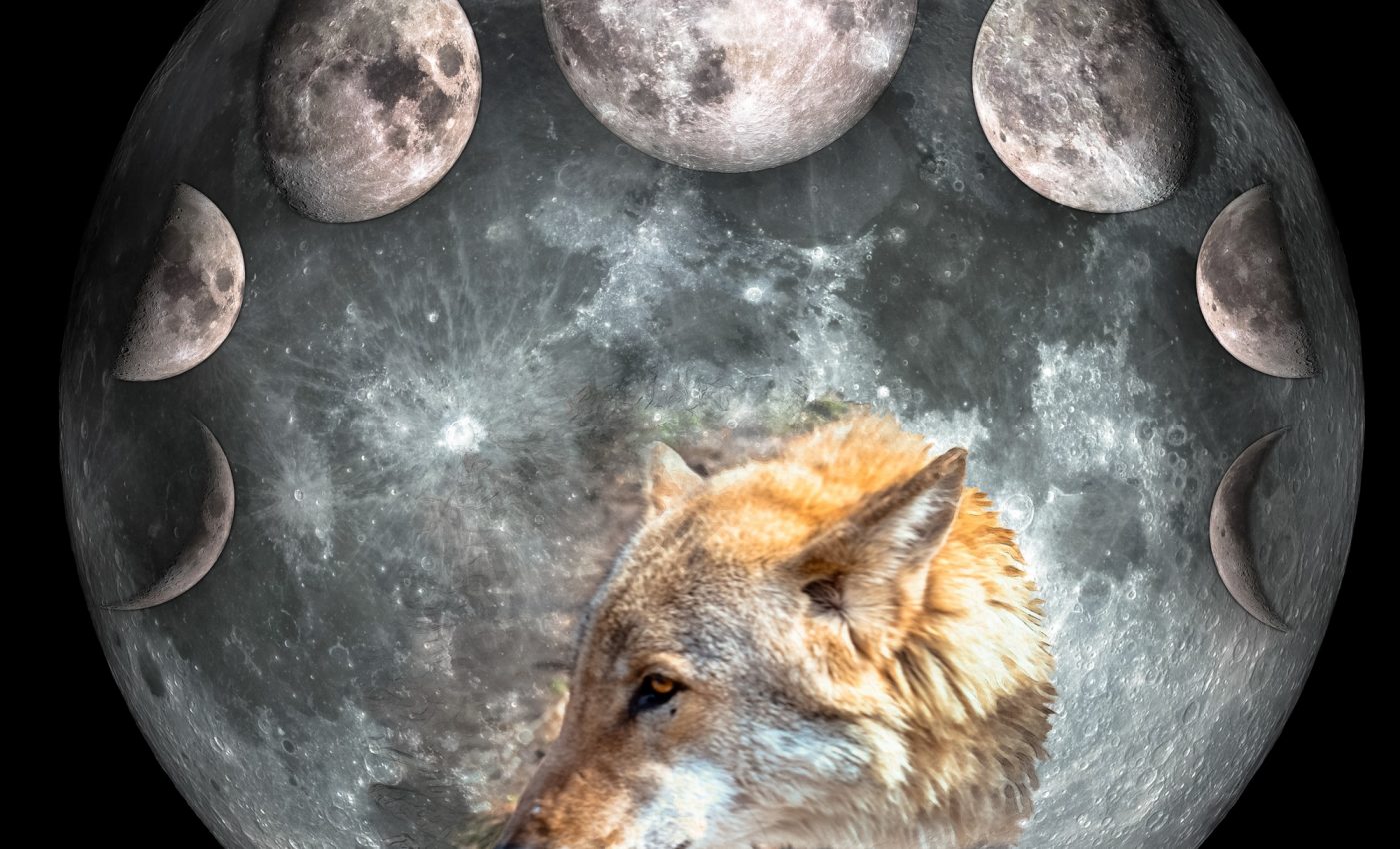 Horoscop special: Cum afecteaza Luna plina a Lupului zodiile! Pregateste-te sa te scufunzi adanc in sentimentele tale!