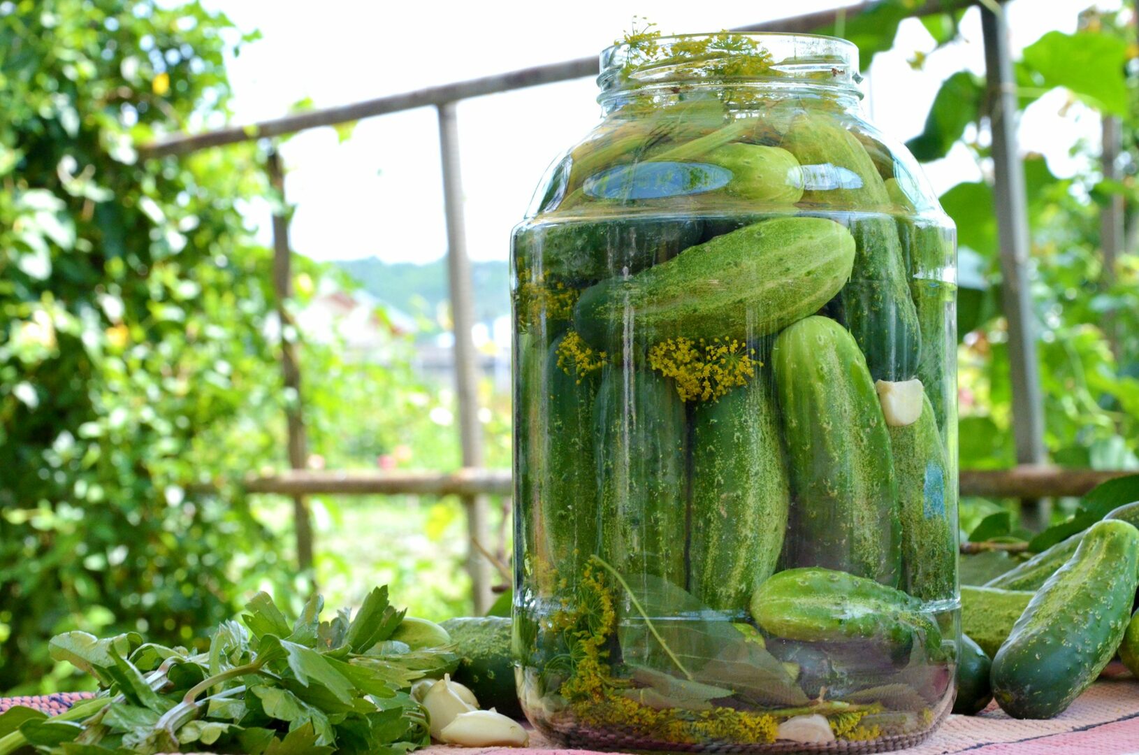 Castraveţi muraţi de vară. Reţetă simplă de murături pentru consum imediat