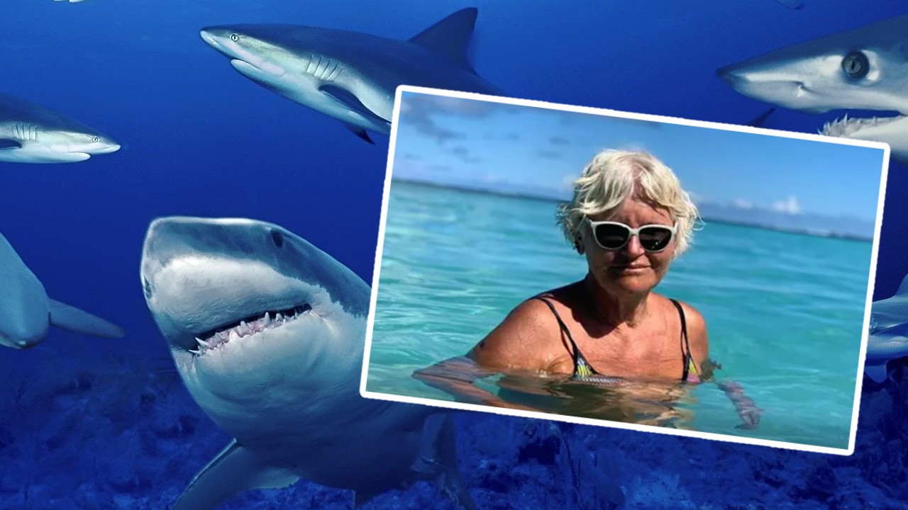 Η Monica Tatoiu ακύρωσε τις διακοπές της στην Αίγυπτο φοβούμενη τους καρχαρίες και αποκαλύπτει τον τέλειο προορισμό διακοπών: «Θα σου δώσω άκρη»