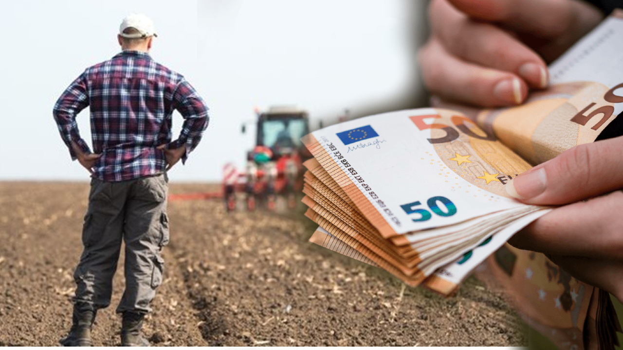 Subvenţii agricultori 2024. APIA nu mai dă bani GRATIS pentru pârloage