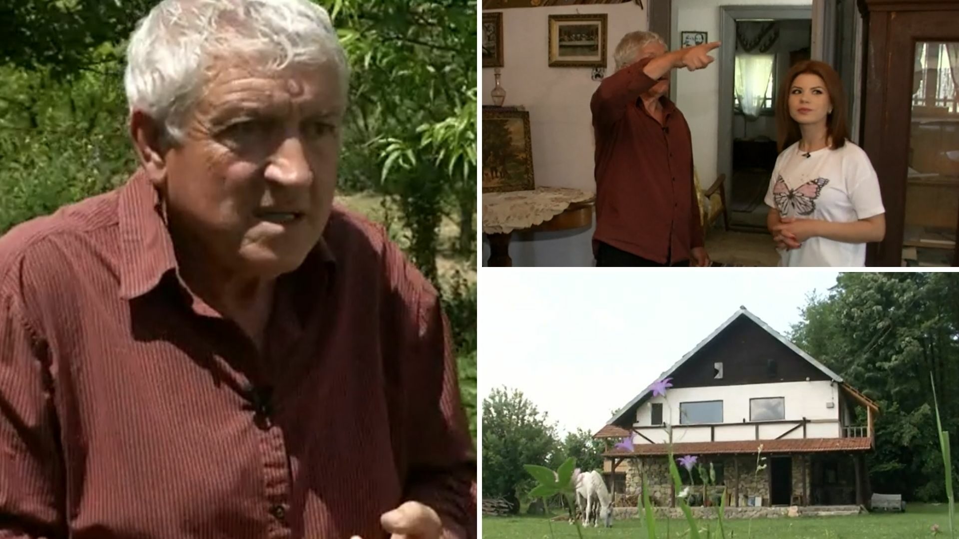 Mircea Diaconu s-a retras la ţară