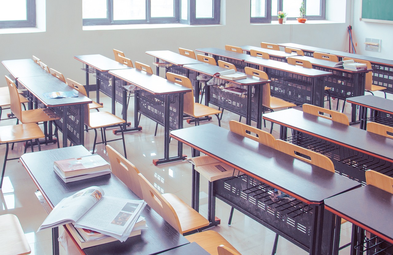 Ministerul Educației transmite inspectoratelor școlare să sesizeze organele de cercetare dacă părinții își retrag copiii de la școală. Învățământul la domiciliu – homeschooling