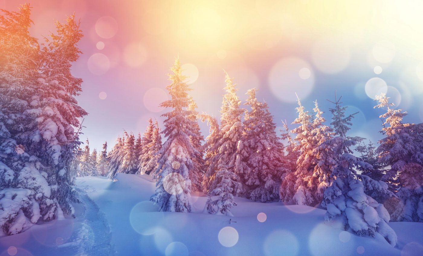 Iarna astronomică începe oficial duminică, 21 decembrie 2025, la ora 17:03. Ce se întâmplă în cea mai lungă noapte din an