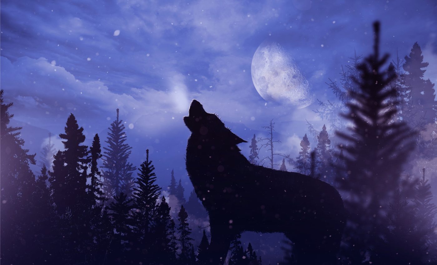 Luna plină a lupului