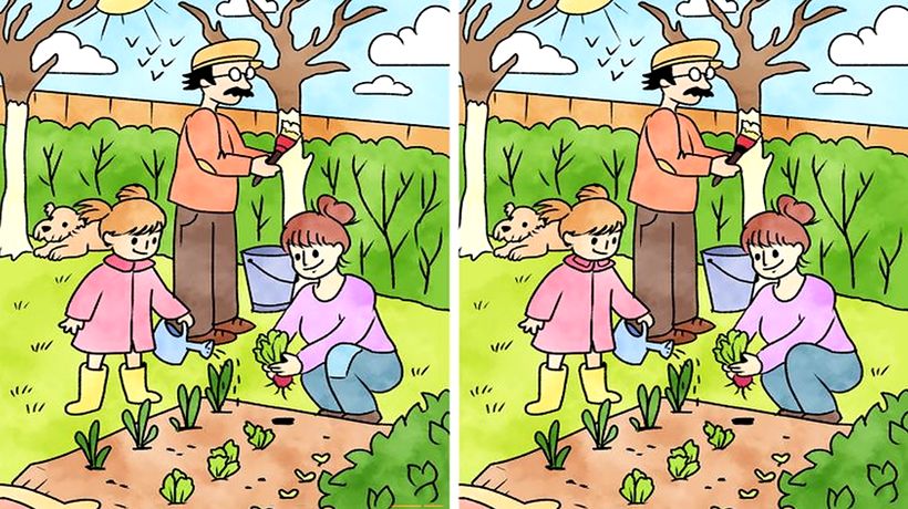 TEST IQ pentru iniţiaţi. Găseşte diferenţele în mai puţin de 30 de secunde şi ai ochi de şoim