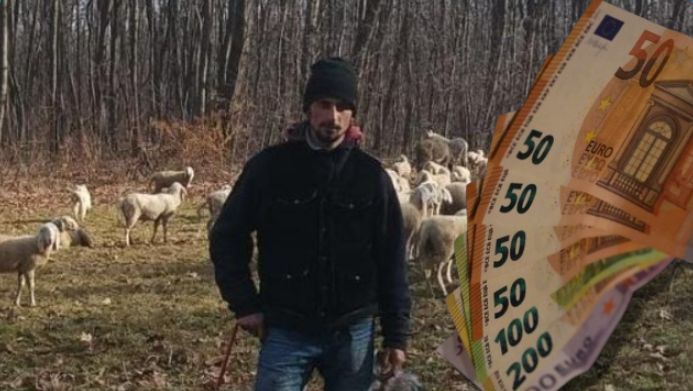 Ce salariu are un cioban în Italia. Tinerii care vor să aplice trebuie urmeze cursuri de alungare a lupilor şi fabricare a brânzei tradiţionale