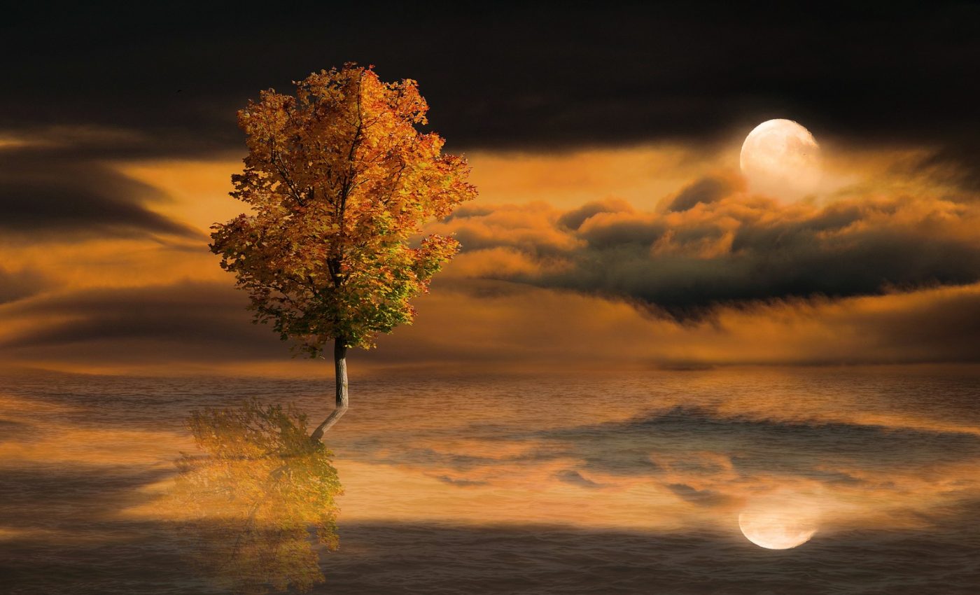 Horoscop WEEKEND 10-12 octombrie 2025: Ce vești bune de aduce finalul săptămânii. Venus, Micul Benefic, se aliniază cu Jupiter, Marele Benefic, aducând noroc, iubire, inspirație