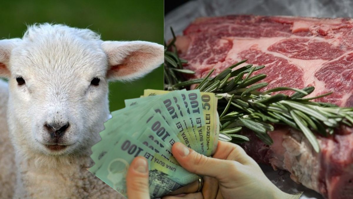 Cel mai mare oier a pus preţul corect la carnea de miel. Comparație cu carnea de porc de la o măcelărie celebră