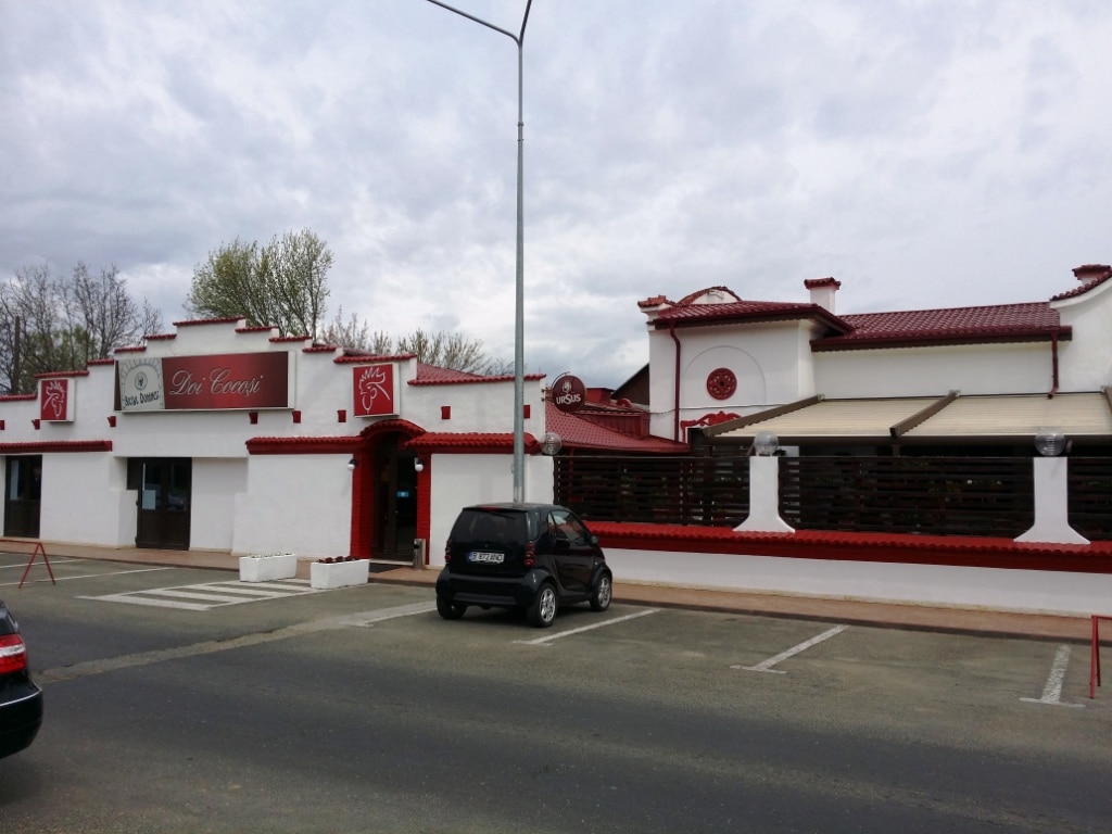 Mama lui Cristi Borcea demolează renumitul restaurant ”Doi Cocoși” pentru un ansamblu rezidențial cu 102 apartamente! Elena Borcea vrea să dea lovitura cu noul proiect