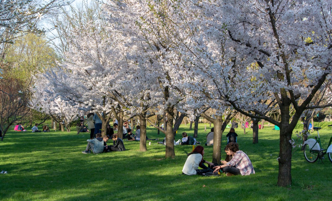 Prognoză meteo pentru primăvara anului 2026. Cum va fi vremea în martie, aprilie și mai, potrivit meteorologilor EaseWeather