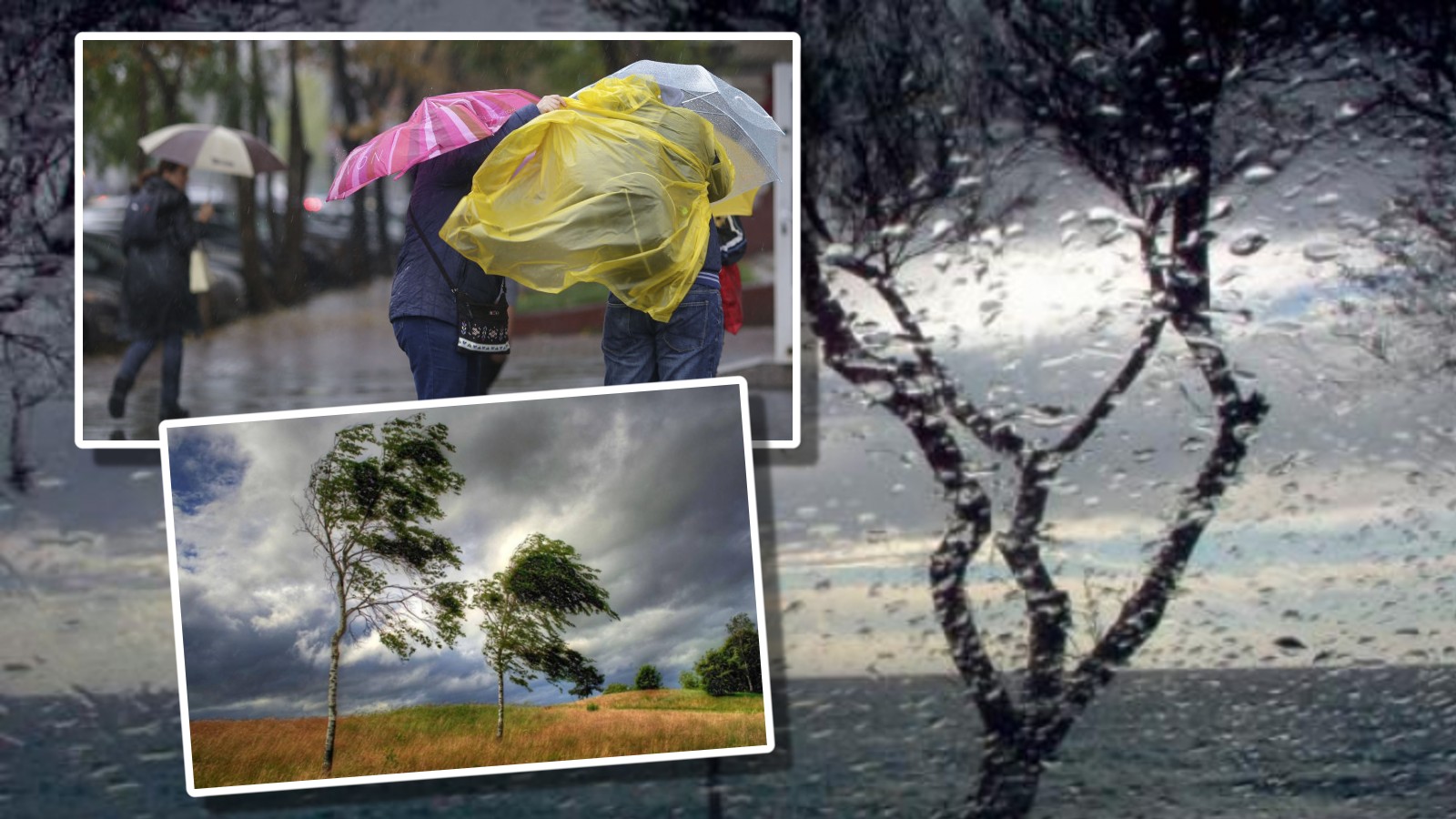 Ciclonul Cassio lovește România cu ploi puternice și vijelii. Noi alerte cod galben de fenomene meteo severe până duminică seara