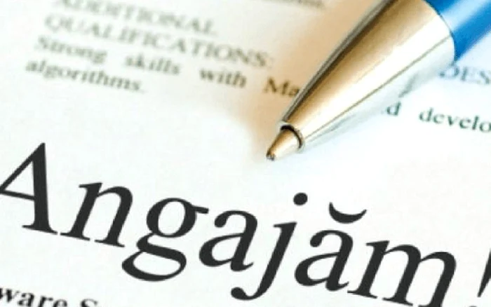 Angajări 2025. Bătaie pe locurile de muncă fără experiență. Meseriile căutate de tinerii abia ieșiți de pe băncile facultăților