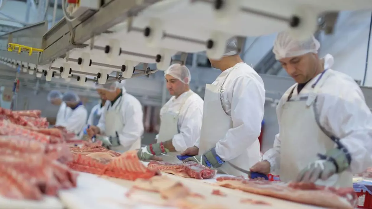 Patronatele cer Guvernului să înghețe salariul minim pe economie