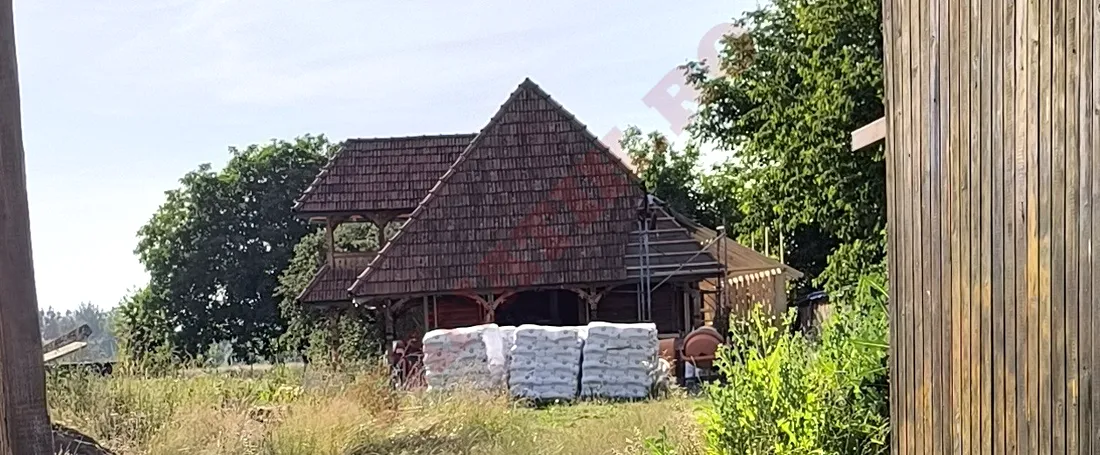 Călin Georgescu 