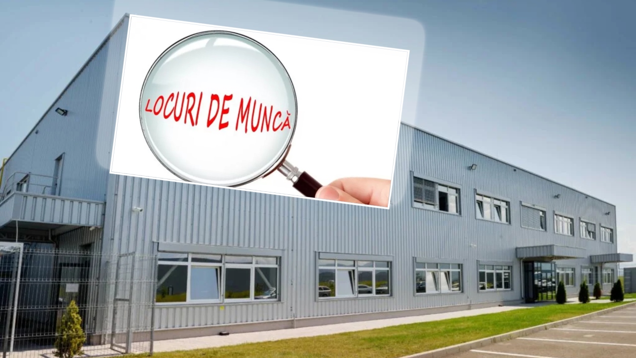 Peste 50% dintre angajaţi vor să își schimbe jobul în 2026 din cauza salariului care nu mai acoperă costul vieţii