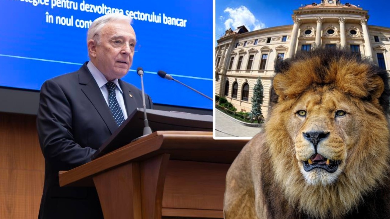 Avertismentul unui consilier BNR: „Putem să ajungem mult mai rău decât TVA de 24%”. Ce spune despre prețuri