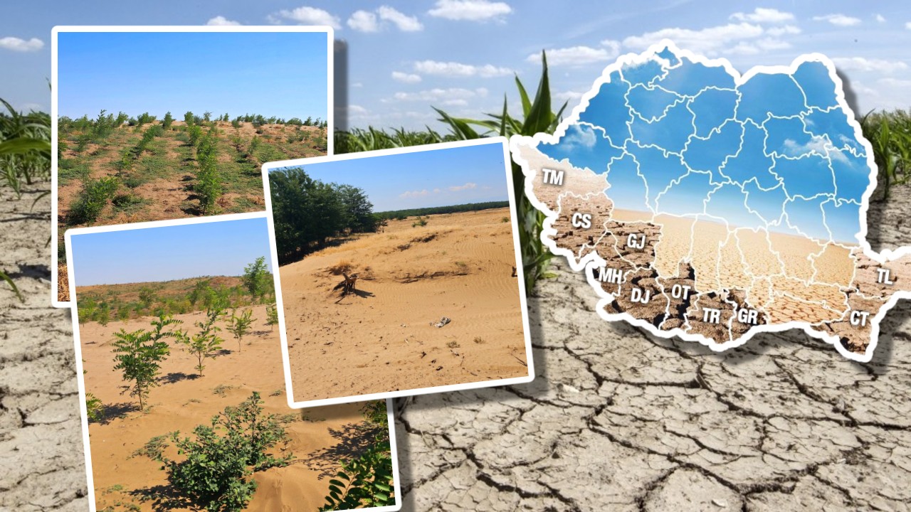 EXCLUSIV Deșertul România! Peste 30% din suprafața agricolă a țării este deja afectată de aridizare sau deșertificare! De ce în 20 de ani căldura va lovi devastator economia țării și de ce nimeni nu prevede asta! România a pierdut aproape 100.0000 de hectare de sol fertil din cauze naturale!