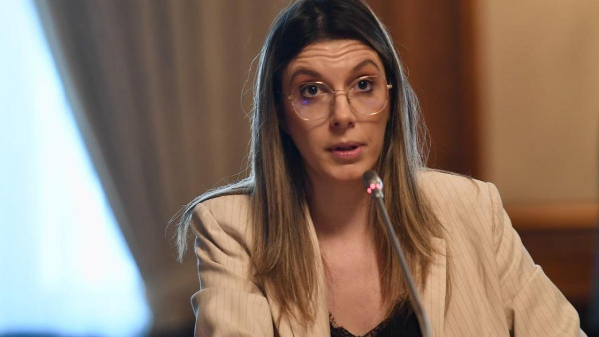 Diana Buzoianu, veste proastă pentru Romsilva: A propus reducerea indemnizației pentru membrii, de la 12.000 de lei la 5.000 de lei