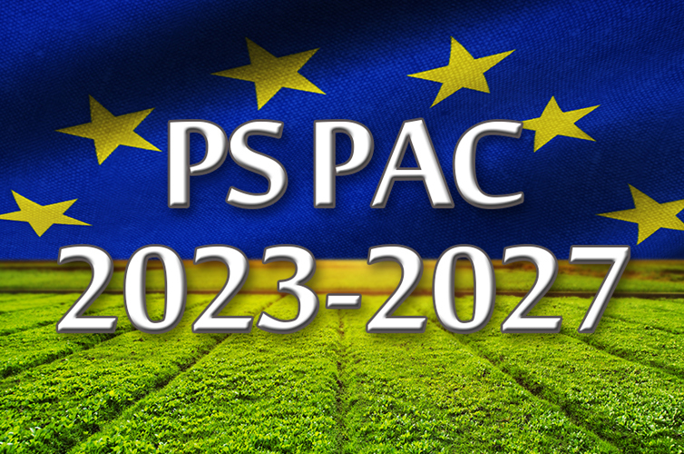 Planul Strategic 2023-2027