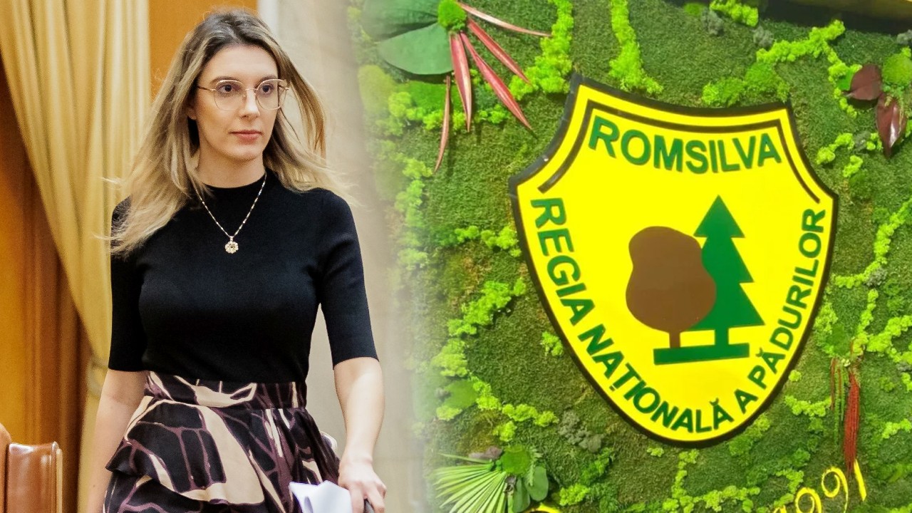 Romsilva are un nou director. Cine este Jean Vişan, studii și avere trecute în CV / Salariul fostului șef era de 44.000 lei pe lună, plus bonusuri