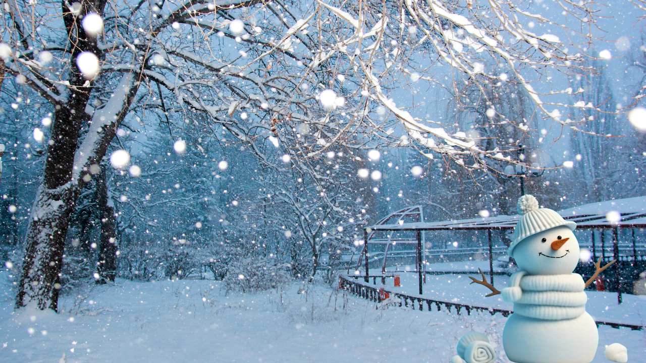 Unde și când lovește ninsoarea în iarna 2025/2026? Vezi prognozele anunțate de meteorologi