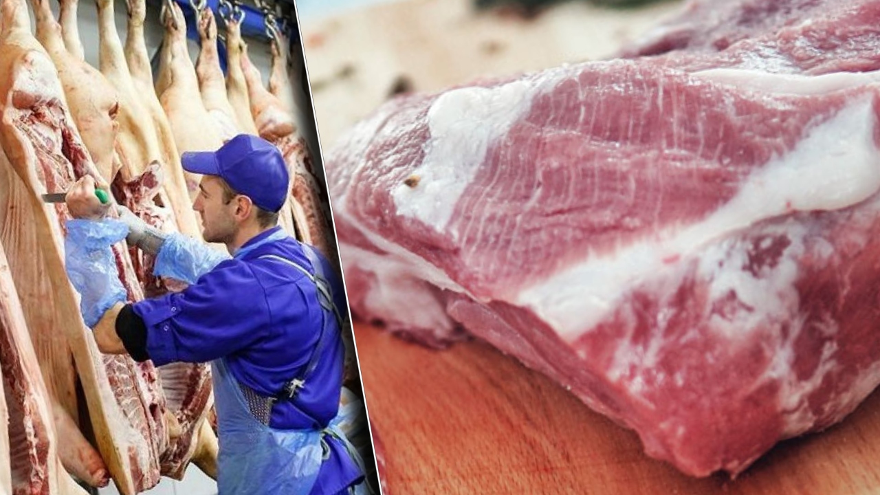 Motivele pentru care România consumă carne de porc din Spania și Germania, cu toate că avem o fermă cu zeci de mii de porci