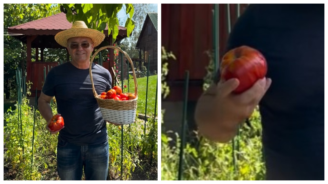Emil Boc, mândru că i s-au copt roșiile. ”No, bună treabă. Doamne ajută!” VIDEO