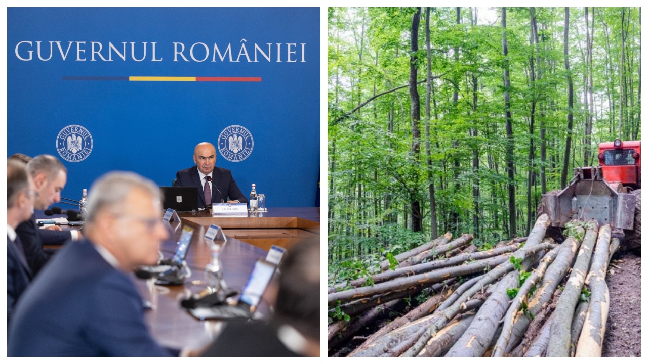 Guvernul are ședință vineri pentru reorganizarea Romsilva. Ce prevede documentul care urmează să fie adoptat