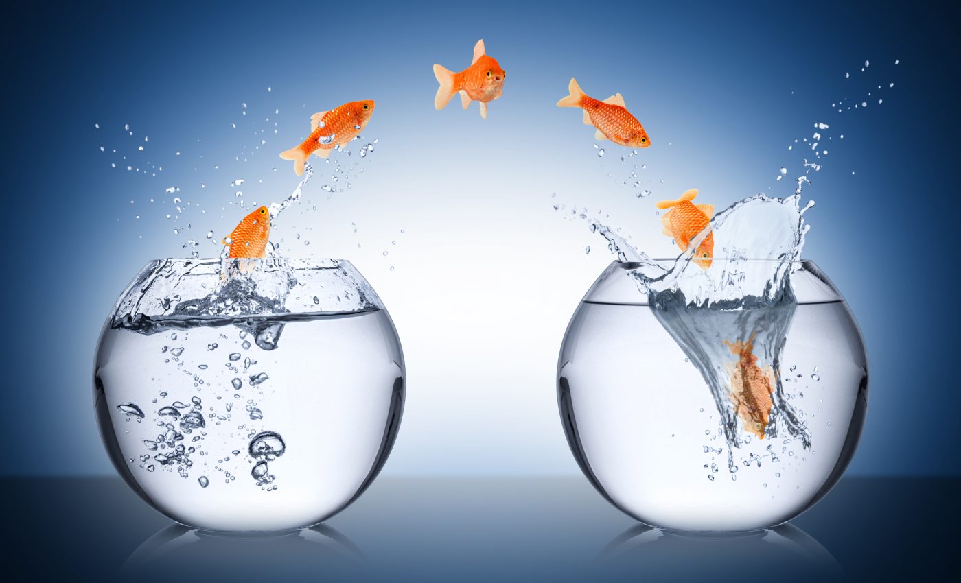 Schimbări pozitive MAJORE pentru 3 zodii în weekend. Cine respiră ușurat după o săptămână intensă