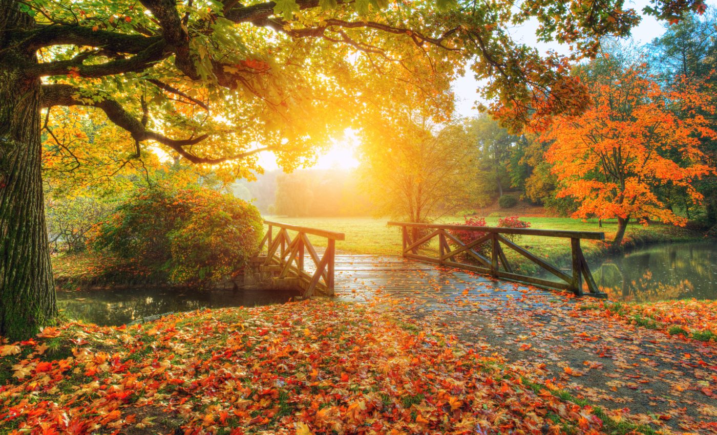 TOAMNA 2025 va fi UIMITOARE pentru aceste ZODII. Vezi dacă ești pe lista norocoşilor