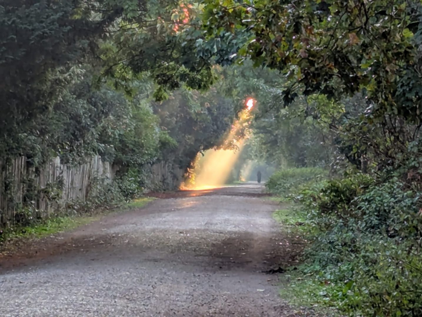 Horoscop 2 octombrie 2025. Perseverența, carisma şi energia pozitivă ajută o zodie să se simtă în al nouălea cer