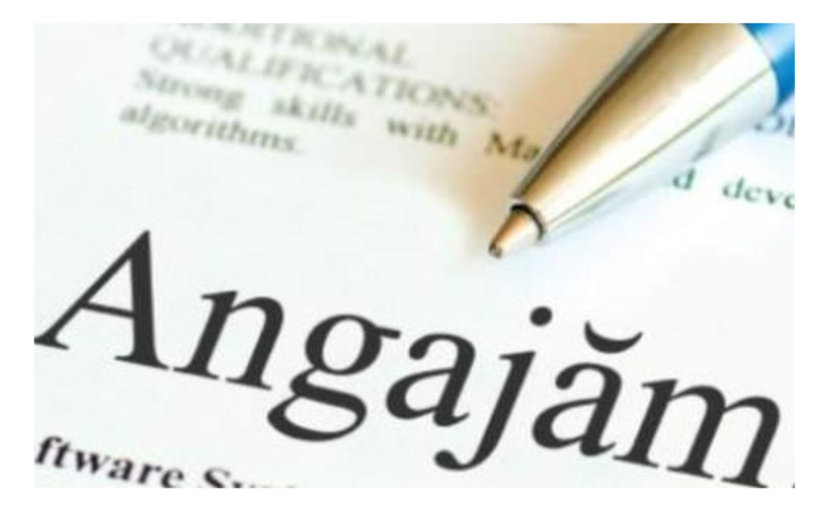 Unde se pot angaja românii. Domeniile în care sunt disponibile cele mai multe joburi