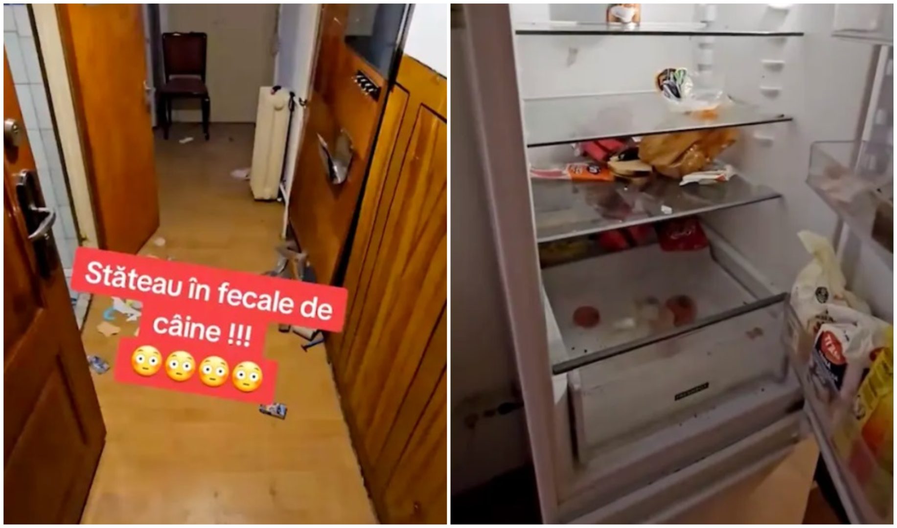 Apartament din Capitală, distrus de un cuplu de chiriași. Proprietarul a rămas șocat de ce a putut să găsească în locuință
