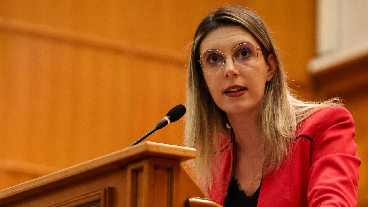 Testul Coaliției după pacea de la Cotroceni. Moțiunea simplă pentru demiterea ministrei Mediului, Diana Buzoianu, va fi votată în cursul zilei de miercuri