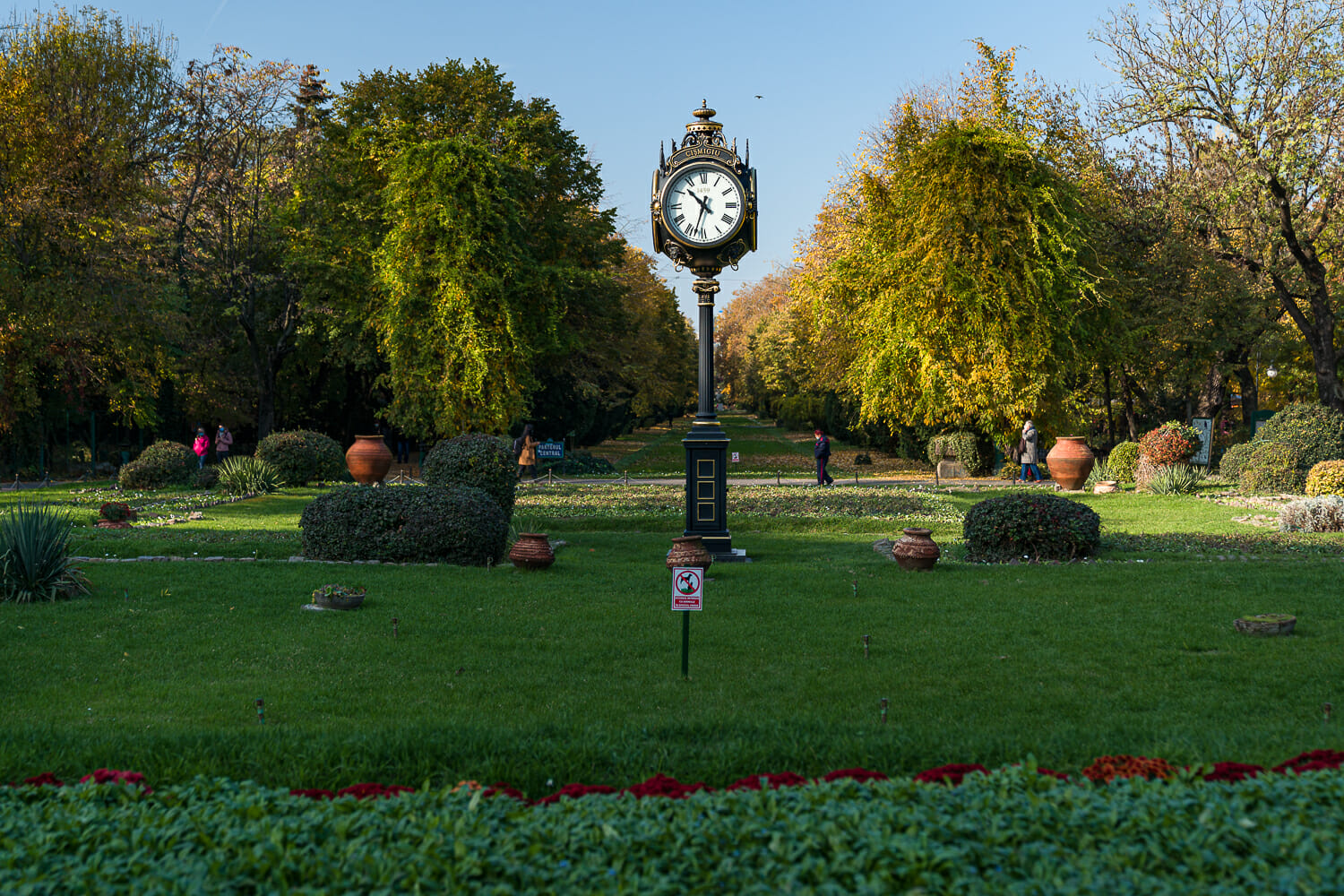 Primăria Capitalei creşte de 50 de ori amenzile pentru distrugerea spaţiilor verzi