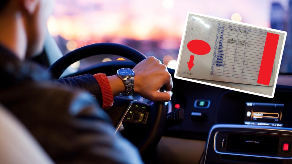 Codurile ascunse de pe permisul auto pe care mulţi români nu le cunosc. Ce trebuie să ştie toţi şoferii