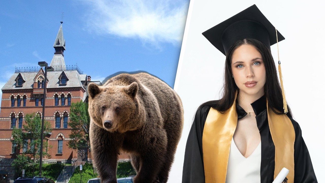 Doi studenți de la Universitatea Cornell, unde studiază și Violeta Bănică, au ucis un urs și l-au tranșat. Animalul sălbatic a fost măcelărit chiar într-un cămin studențesc