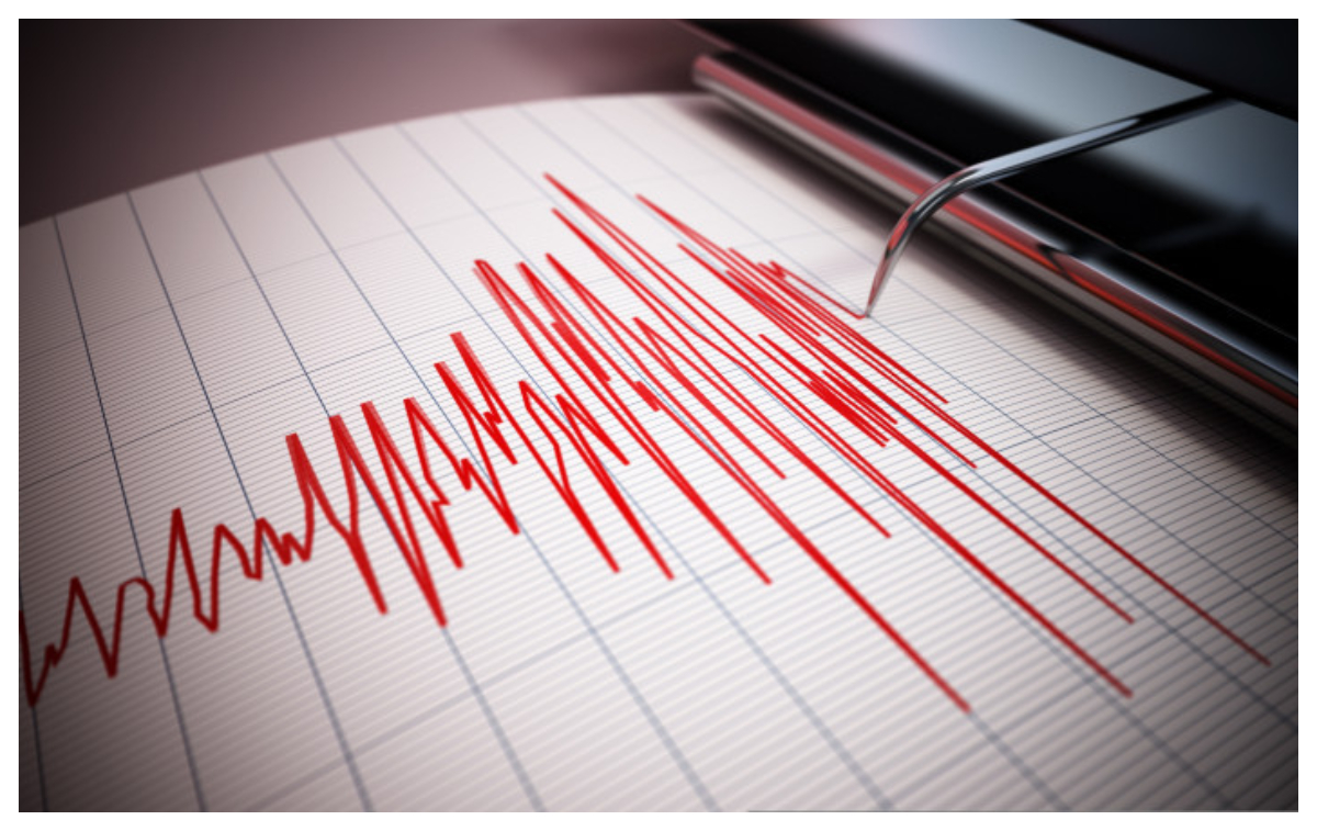 Cutremur vineri dimineață în România. Ce magnitudine a avut și unde s-a resimțit