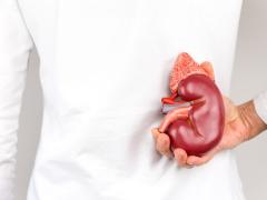 Ziua Mondială a Sindromului Hemolitic Uremic atipic. Boala poate deveni cronică și poate recidiva, fiecare minut contează!