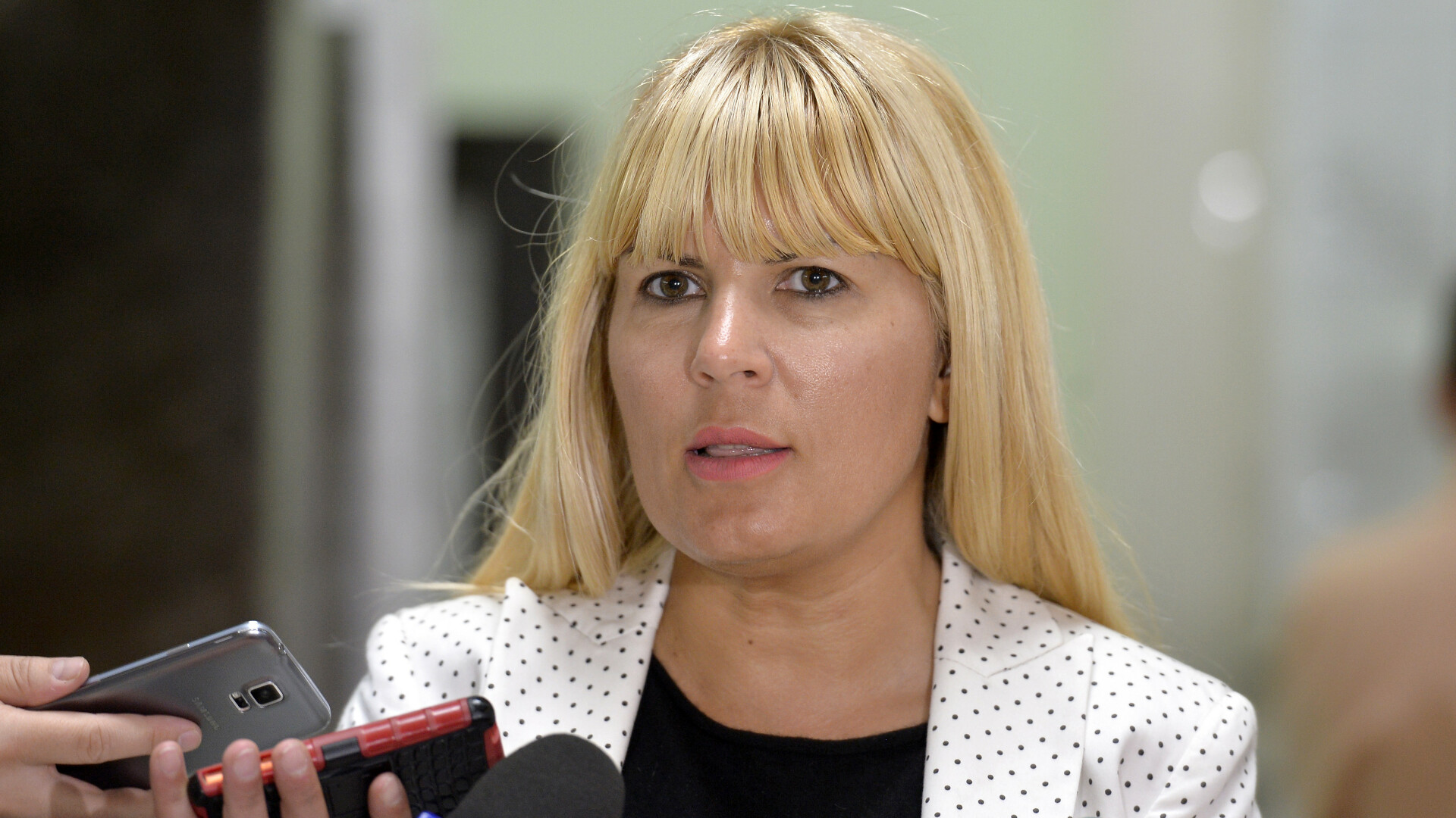 Elena Udrea, întrebată dacă a fost o victimă a lui Băsescu: „Coldea a executat foarte bine planul, dar planul nu a fost românesc”
