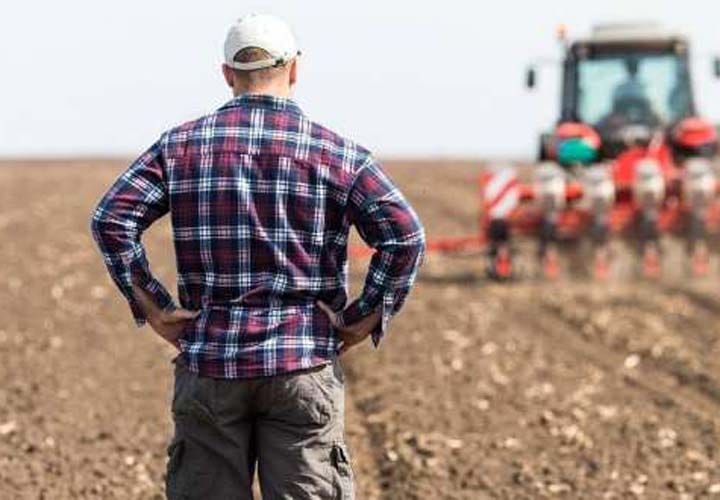 Ministrul Agriculturii anunță sprijin de urgență de 11 ,5 milioane euro pentru fermieri. Cum poți beneficia de fonduri