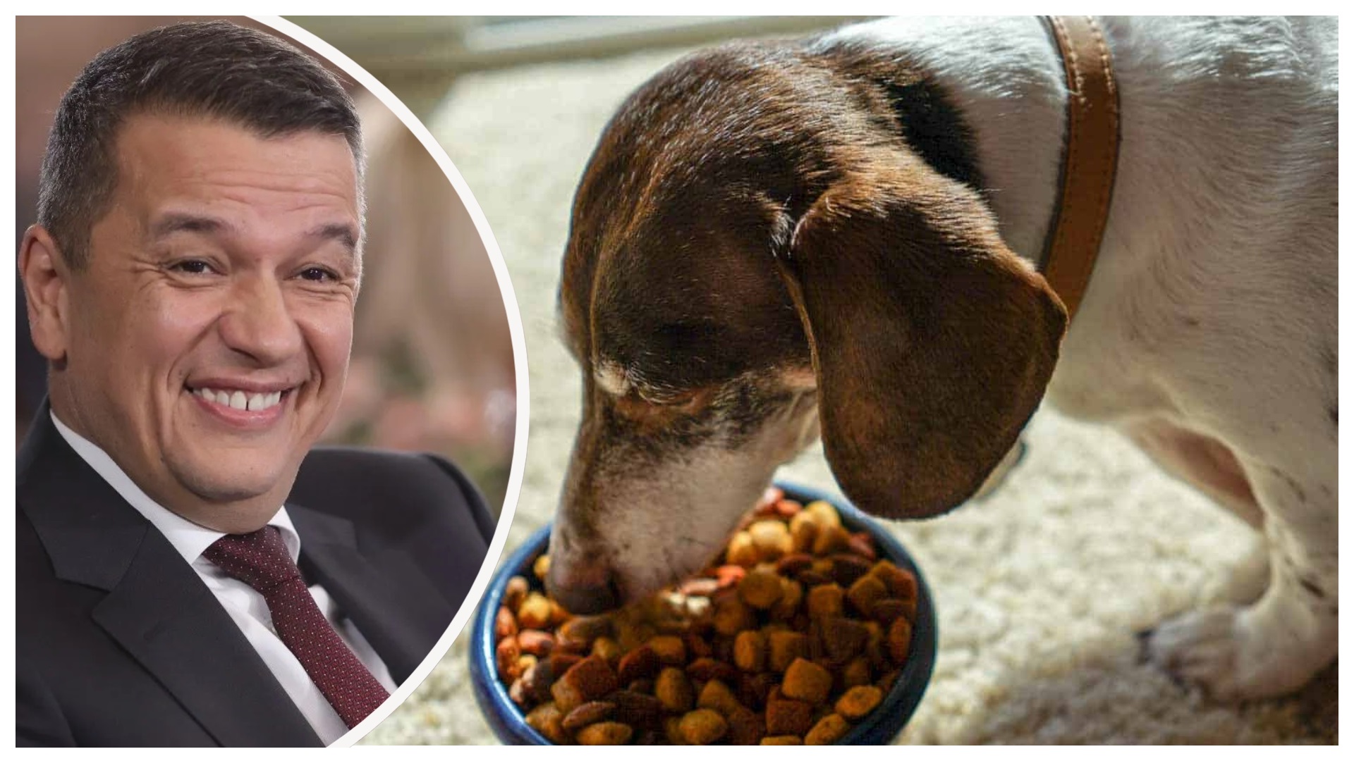 Sorin Grindeanu susține impozitarea progresivă și acuză abuzuri în deducerea TVA: „Se cumpără mâncare de câini pe firmă”