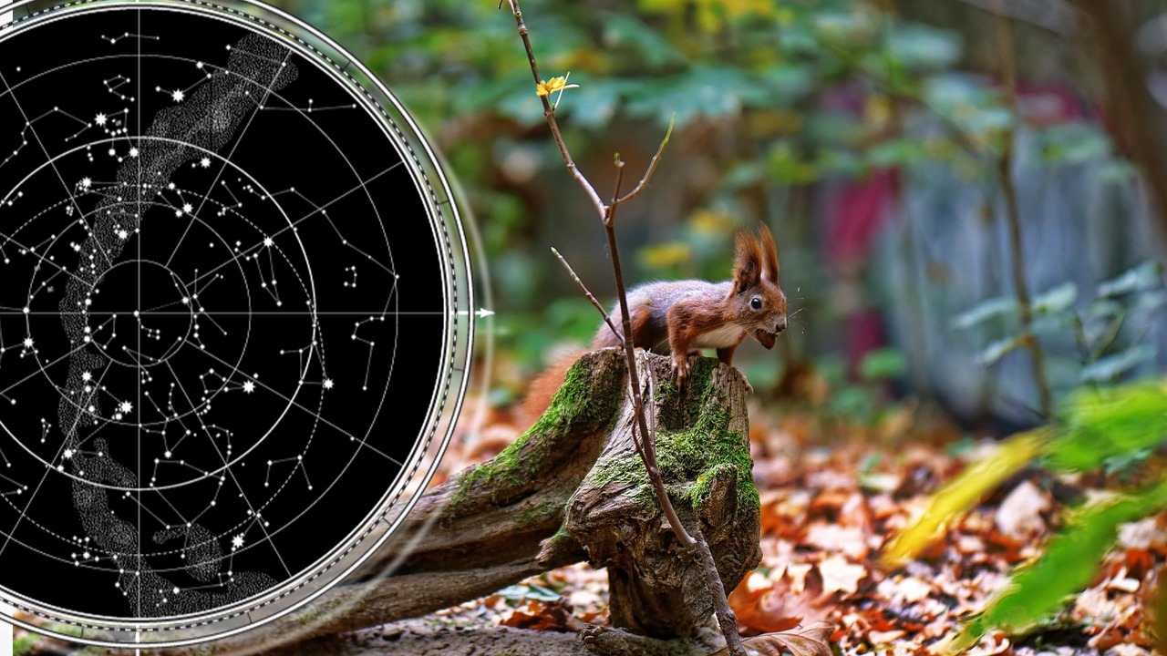 Horoscop 26 septembrie 2025. Balanţele cheltuiesc mai mulţi bani, Scorpionii au parte de gelozii, Leii se uită la birou