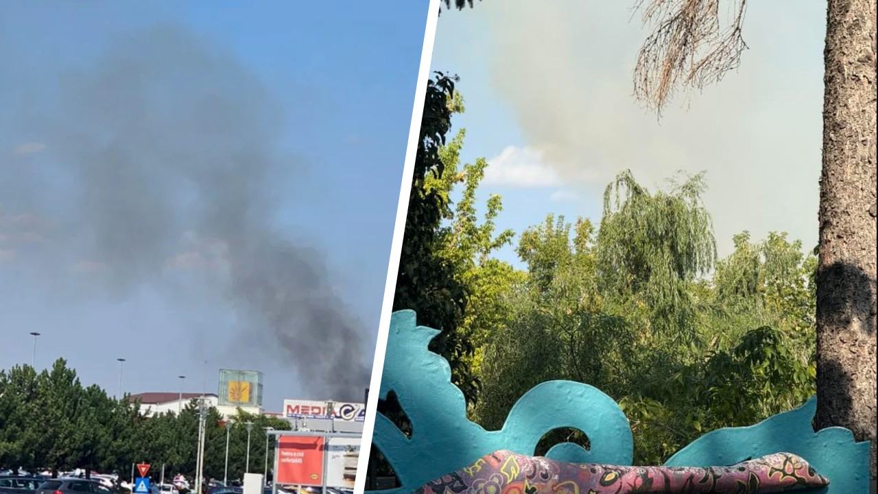 Incendiu masiv la Grădina Zoologică din București. 11 autospeciale intervin la fața locului pentru stingerea focului
